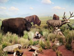 -陕西自然博物馆