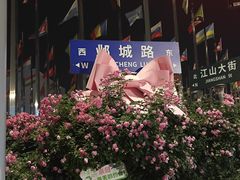 -南京眼步行桥