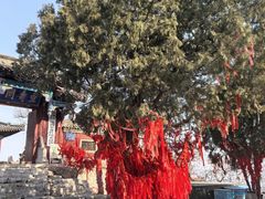 -青州市云门山风景区