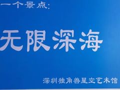-深圳独角兽星空艺术馆