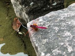 -楠溪江风景名胜区