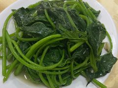 蒜蓉炒番薯叶-电白鸭粥店(下沙二坊88号店)