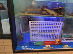 -鱼酷活鱼烤鱼(南京水游城店)