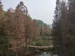 -云溪植物园