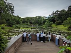 -云溪植物园