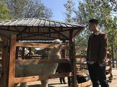-北京鹿世界主题园