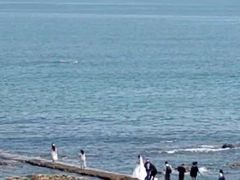 -青岛第二海水浴场