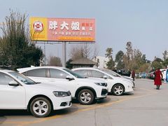 -胖大姐黄辣丁鱼庄(新津店)