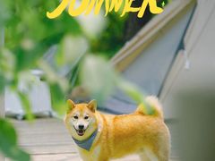 -北京金海湖景区