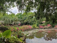 -海南热带野生动植物园