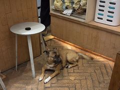 -小团圆糖水铺(襄阳南路店)
