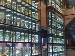 -广东中医药博物馆
