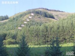 -塞罕坝国家级自然保护区