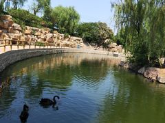 -石家庄市动物园