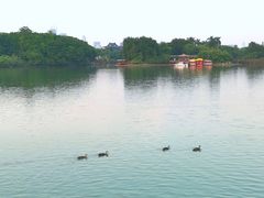 -海珠湖公园