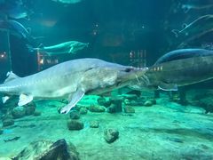 -华夏文旅海洋公园