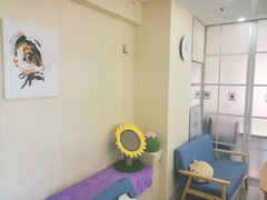 -鼓捣猫呢主题猫咖店