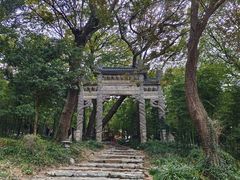 -外蒲山