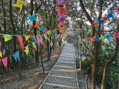 -南山植物园