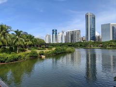 -万绿园