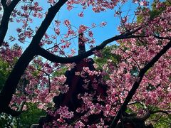 -乌山风景区
