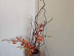 -小茶闲舍·观景商务茶馆(广州塔店)