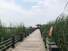 -太湖湖滨国家湿地公园-停车场
