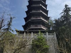 -重庆园博园
