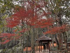 -黄公望隐居地