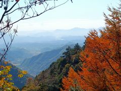 -东天目山风景区