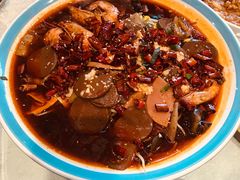 -邵年鸽(杨庄店)