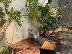 -J Create城市露营咖啡·简餐·宠物(上海动物园店)