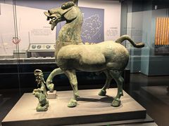 -广西壮族自治区博物馆