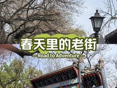 -北京国子监胡同