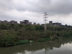 -广东花都湖国家湿地公园