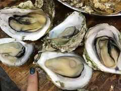 -蚝专家(北滘店)
