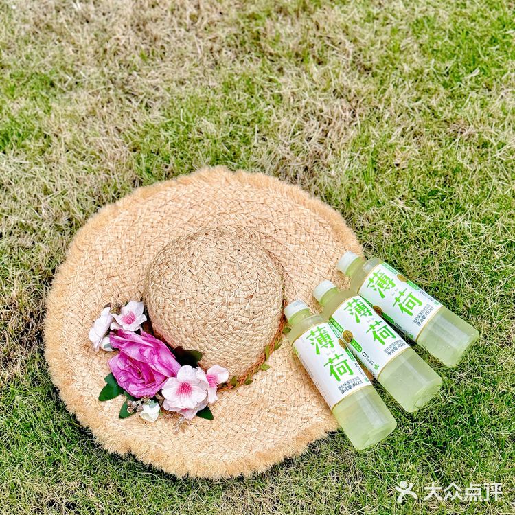 我的薄荷味道的夏天🍃  