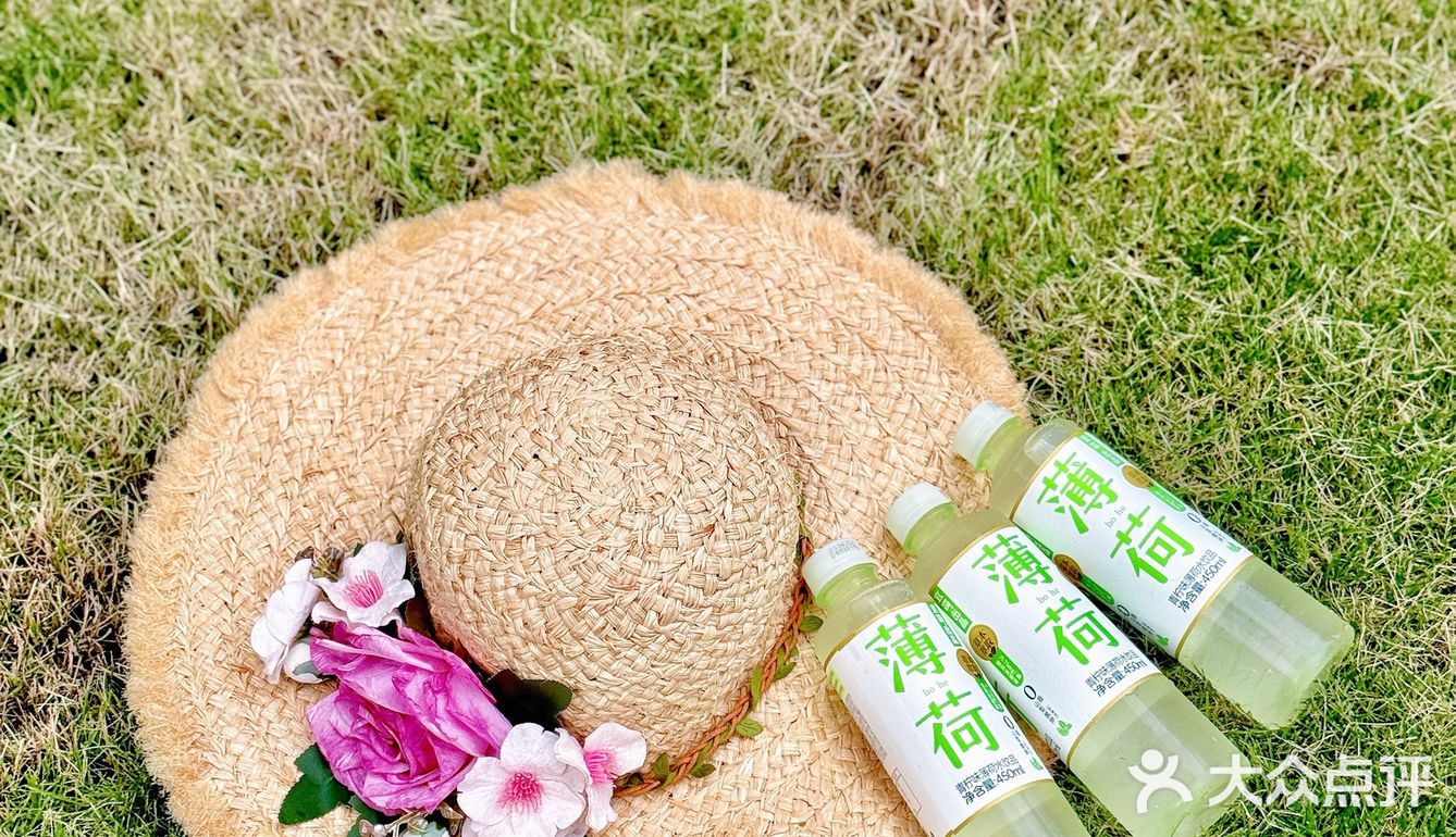 我的薄荷味道的夏天🍃  