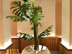 -森Some Fusion(荔湾店)
