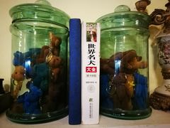 -猫色咖啡·猫咖