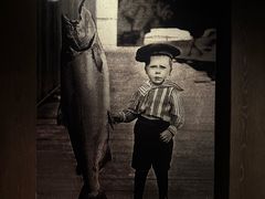 -THE CANNERY&JUJU 新鲜海鲜·牛排美食酒廊