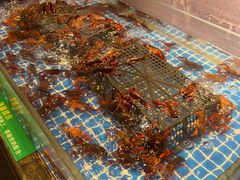 -亚马逊海鲜自助(梅溪湖步步高店)