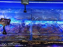-渔民船说·北塘海鲜·天津菜·海肠捞饭(北塘古镇店)
