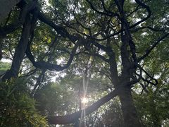 -绮园景区