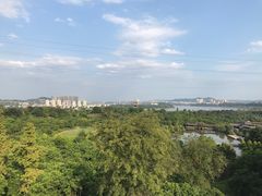 -张坝桂圆林公园