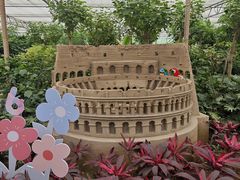 -南宫五洲植物乐园