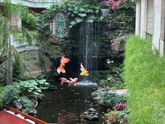 -白天鹅宾馆-宏图府餐厅