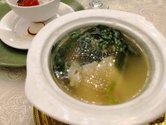 鲜芹叶炖象拔蚌-泉州酒店-温陵中餐厅(庄府巷店)