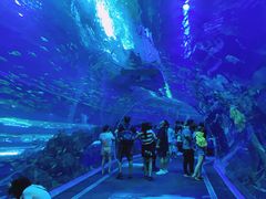 -成都浩海立方海洋公园