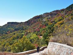 -北京西山国家森林公园